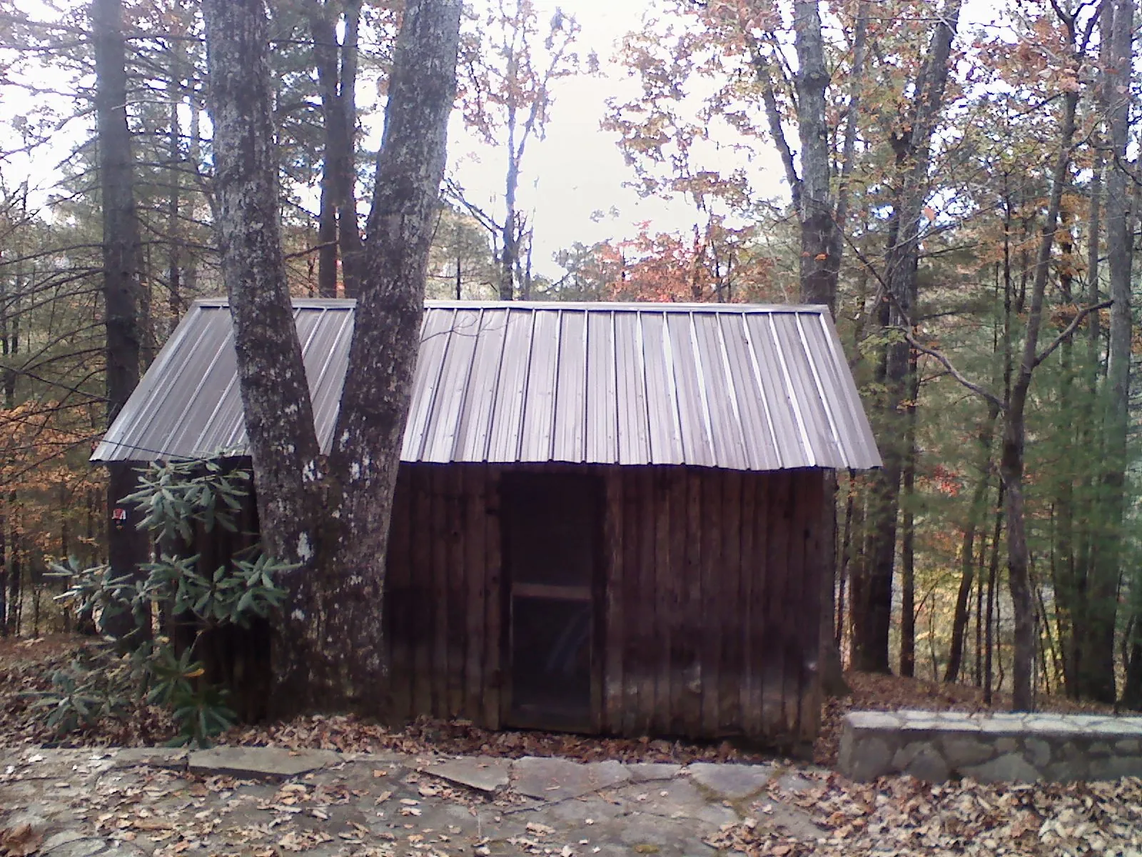 New metal gable roof on a small log shed among the trees in West Hartland